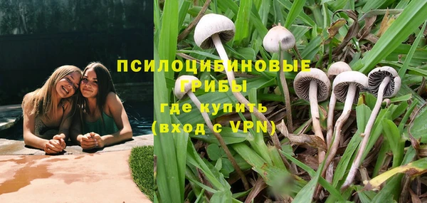 кокс Алексин