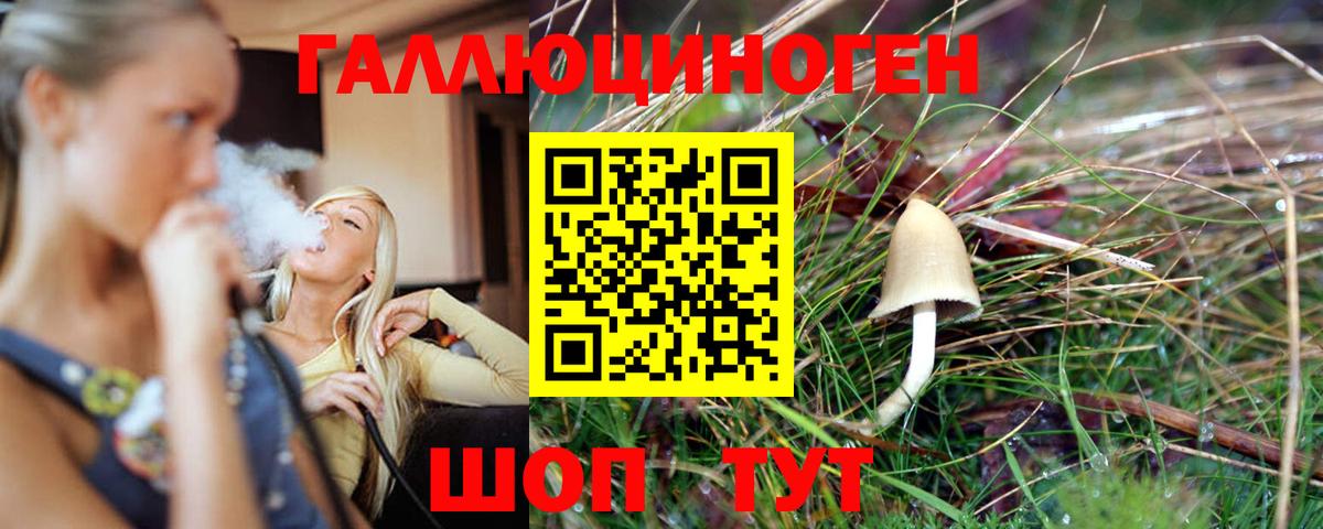 Галлюциногенные грибы GOLDEN TEACHER Междуреченск