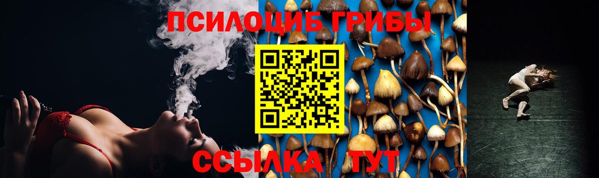 Псилоцибиновые грибы Psilocybe  Галлюциногенные грибы Psilocybine cubensis  Междуреченск  Вход с VPN 